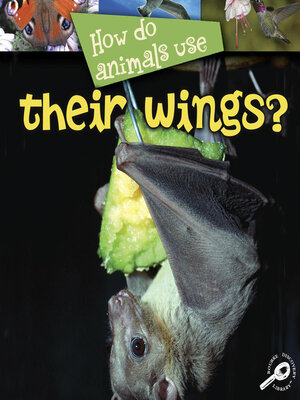 cover image of How Do Animals Use Their Wings?
